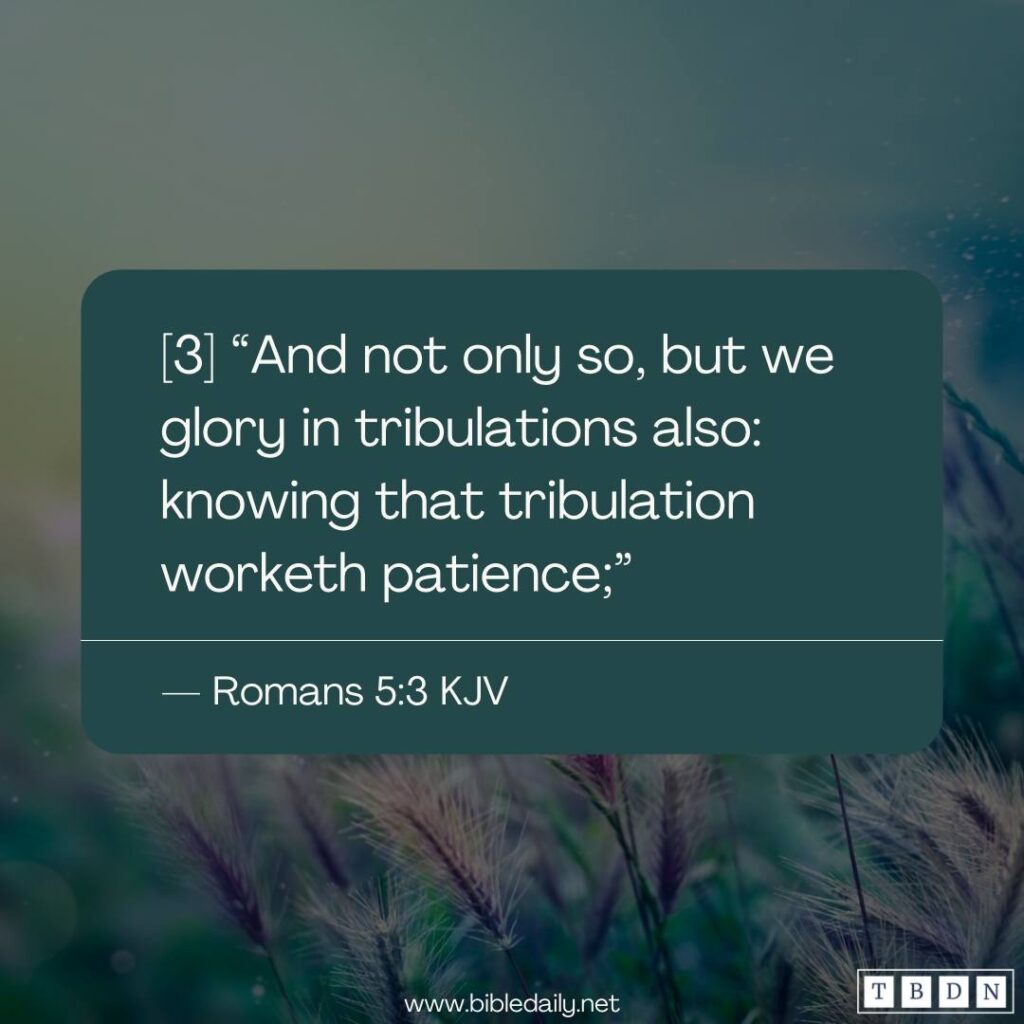 Devotional - Tribulation Works Patience In You