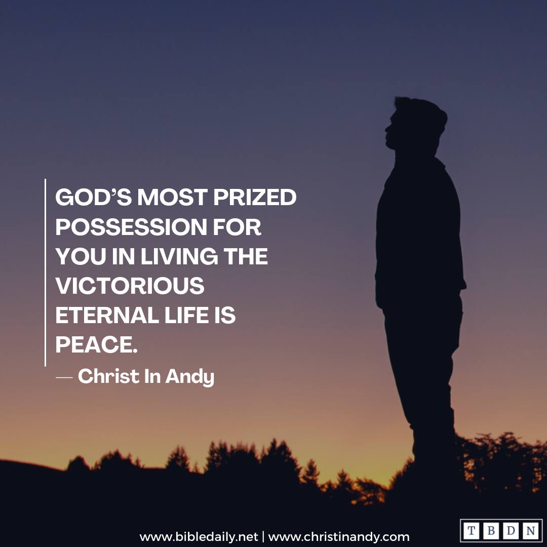 The Peace of God Surpasses All Human Understanding | The Bible Daily ...