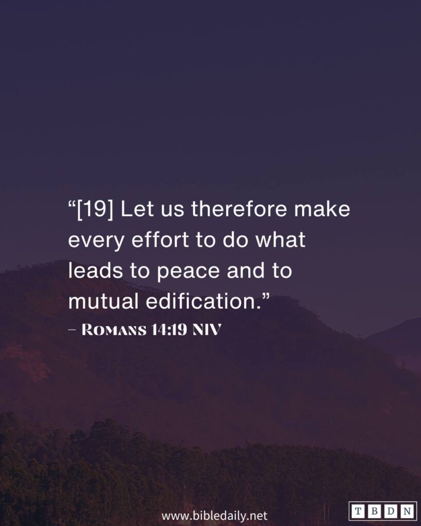 Devotional - Do what leads to peace and to mutual edification
